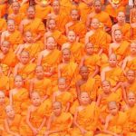 Апельсинчиковые монахи