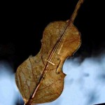 Осень скрипка